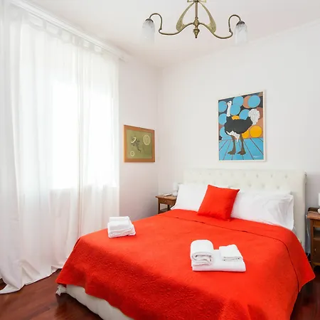 Monti Colors Daire